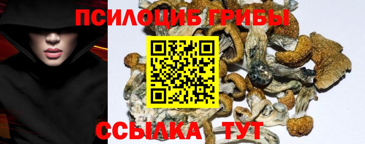 Галлюциногенные грибы мицелий  Галлюциногенные грибы Psilocybine cubensis  Омск  Вход с VPN 